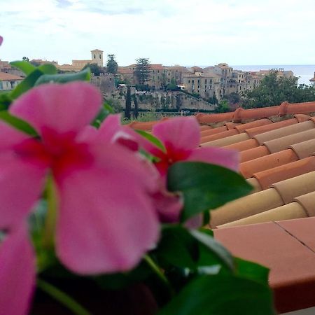 Villa Il Barone Tropea Εξωτερικό φωτογραφία